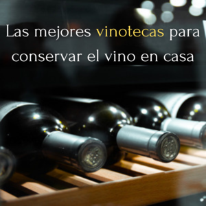 Análisis y comparativa de las mejores vinotecas o neveras para vino en casa