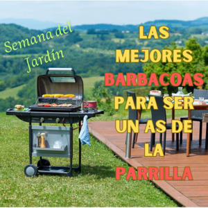 Análisis y Comparativa de las Mejores Barbacoas de Amazon